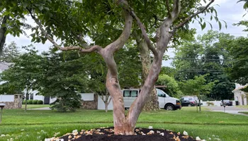 Residential Electrical for Dimar Technology  in Norwalk, CT