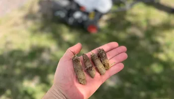 Mowing for Manscaped Lawn Care in Firestone, CO