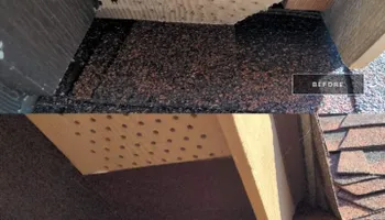 Residential Wildlife Control for Topper's Wildlife Removal in Garland, TX