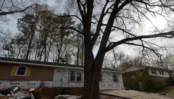 Tree Removal for J&M Stump Grinders LLC in Douglasville, GA
