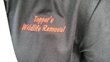 Armadillo Control for Toppers Wildlife Removal in Garland, TX