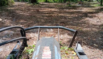 Tree Removal for Asbell's Tree & Land Services in Gilchrist County, FL