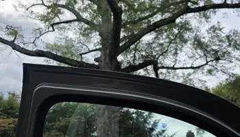 Tree Removal for Smith Tree Experts in Palmyra, VA