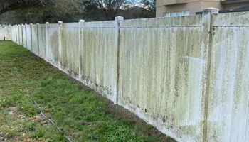 Concrete Cleaning for Zachs Pressure Washing in Tampa, FL