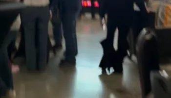 Chimney Repairs for Home Fireplace Pros in Gilmer, TX