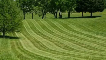Lawn Maintenance for Great Lakes Lawn & Landscape in knoxville, TN