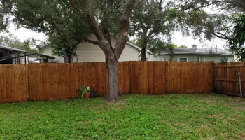 Fall and Spring Clean Up for Curb Appeal Lawn Care LLC. in Gulfport, FL