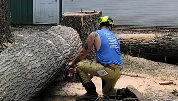 Tree Removal for DGD Outdoor Services LLC in Howell, MI