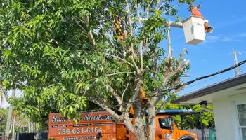 Tree Trimming for Sam's Tree Service in Miami Beach,  FL