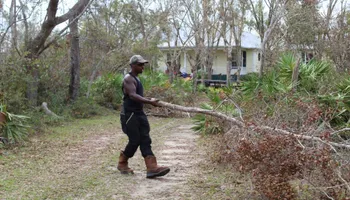 Tree Trimming for American Tree Masters in Alvin, TX