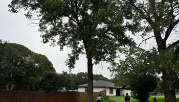 Tree Removal for Year Round Trees & Concrete Inc. in Fort Worth, TX