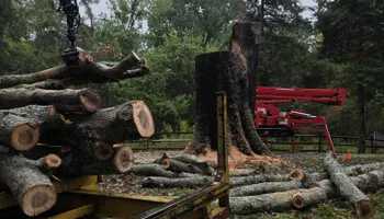 Tree Removal for Smith Tree Experts in Palmyra, VA