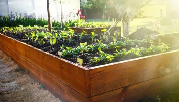 Lawn Mowing and Maintenance for Chief Lawn Care in Lee's Summit, MO