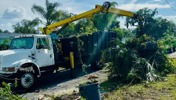Tree Removal for Elevation Tree Service in Holiday, FL