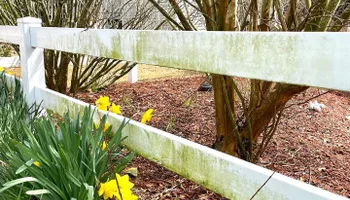 Surface Cleaning for Kitty Hawk Powerwash in , 