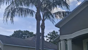 Landscape Design for Tezna Landscaping, Trees & Pavers in Valrico, FL