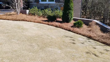 Pinestraw for BAM Another Pinestraw Lot in Flowery Branch, GA