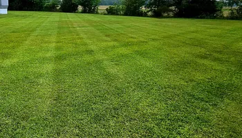 Lawn Care & Maintenance for Natures Accent in Wilson, NC