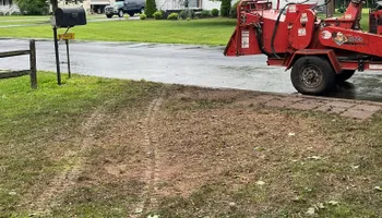 Tree Removal for Etherton’s Tree Service in Quinton, NJ