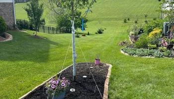 Landscape Installation for Gatrell Landscape & Tree Removal in Bluff City, TN