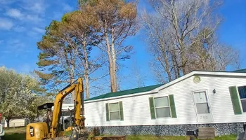 Tree Removal for Puckett's Tree Service in Decatur County, TN