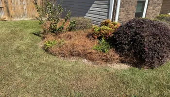 Painting and Drywall for Camalett Services in Perry, GA