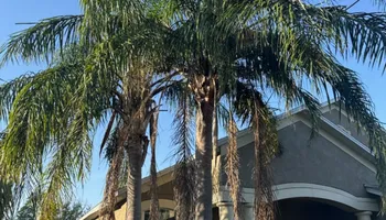 Landscape Design for Tezna Landscaping, Trees & Pavers in Valrico, FL