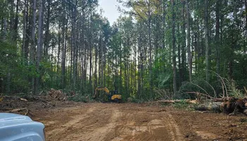 Land Clearing & Demolition for Whaley Land Development in Athens, TN