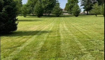 Tree Trimming for Wright Lawn Services in Ozark, MO