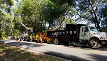 Tree Removal for Daniel Hickey’s Tree Service in DeLand, FL