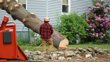 Tree Removal for Williams Tree Service LLC in Indianapolis, IN