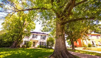 Tree Removal for Hawkins Tree Service & Land Management in Richmond Hill, GA