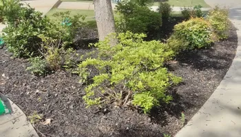 Mowing for Fresh Cut Yard & Lawn Care LLC in Forsyth, GA