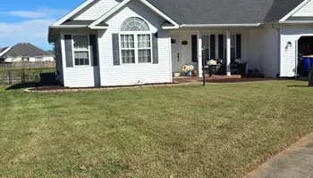 Tree Removal for Optimum Tree Service And Landscaping in Bowling Green, KY