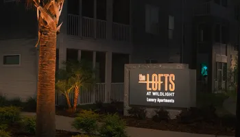 Landscape Lighting for Pro Designs Landscaping in Jacksonville, FL
