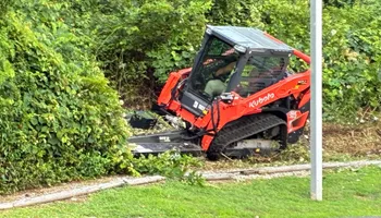Tree Removal for Parsell’s Property Services in Southbury, CT