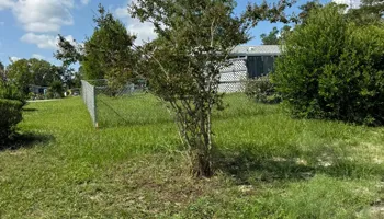Mowing for Young's Lawn Services LLC in Ocala, FL