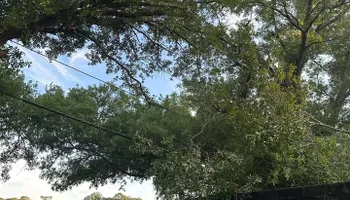 Mowing for All of the Above Landscaping in Orange Park, FL