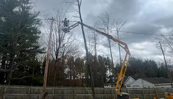 Tree Removal for Licensed to Cut Tree Service in Athens, PA