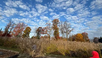 Mowing for Silburn Lawn & Landscape in Odenton, MD