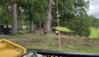 Tree Removal for Smith Tree Experts in Palmyra, VA