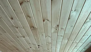 Interior and Exterior Painting for Coastal Matters Painting & Home Improvement in Clearwater, Florida