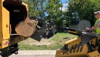 Tree Removal for Village Tree Service in Whitestown, IN