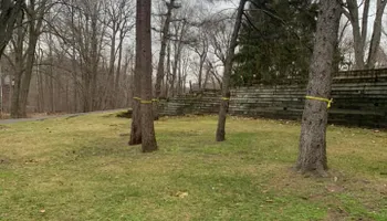Tree Removal for Ramirez Tree Care in Pontiac, Michigan