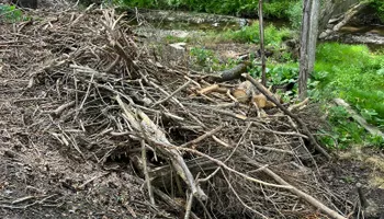 Lawn Care & Maintenance for Wilt Landscaping in Greenville, PA