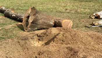 Tree Removal for Gray’s Tree Service Inc in Maurertown, VA