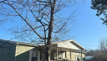 Tree Removal for Greenskeeper Property Management in Elizabethtown, KY