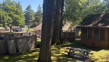 Tree Removal for Down To Earth Tree Service, LLC in Westlake, OH