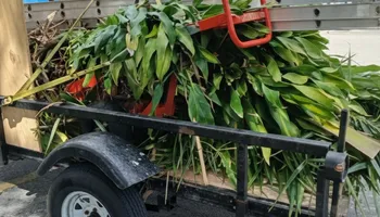 Tree Removal for ASAP Tree Service in Sebastian, FL