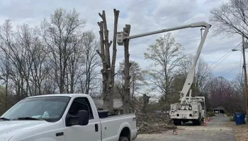 Tree Removal for Lucky’s Tree Removal and Landscape Services in Knoxville, TN